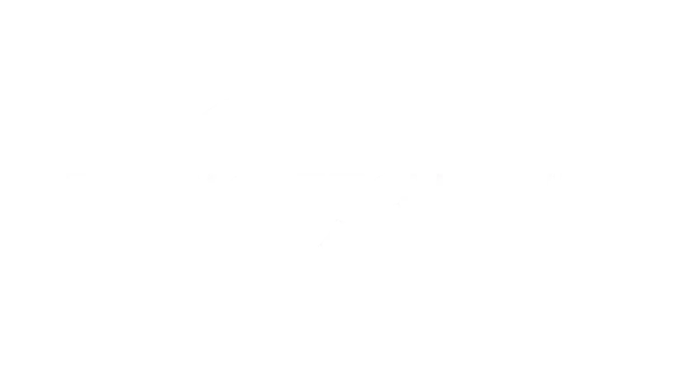 Windows PC VLC and MyIPTV player icon